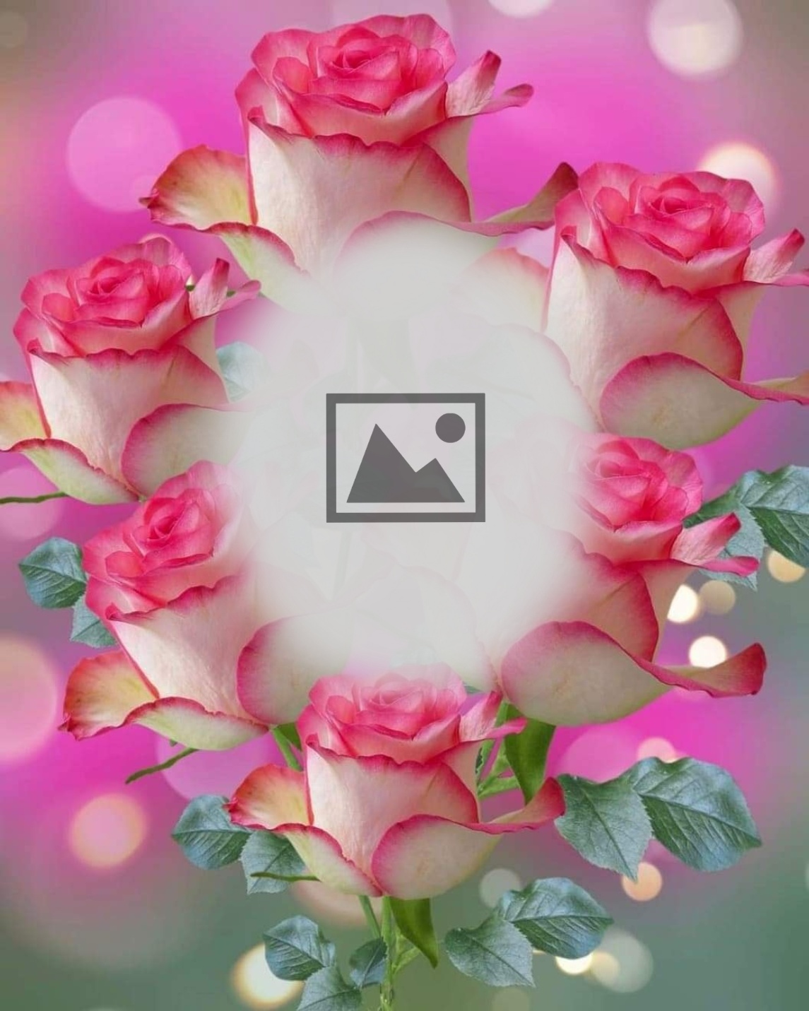 Loves_568's frames - roses - roses