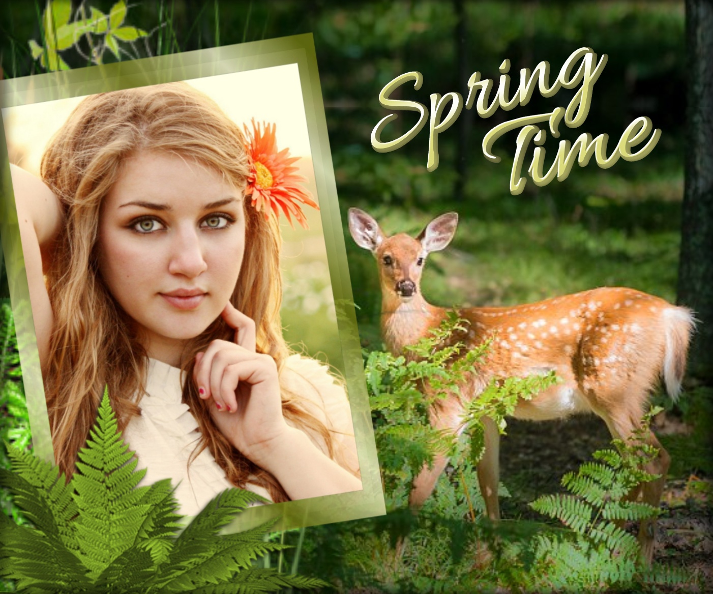 Adelaide's SPRING / PRIMAVERA 🌺 PRIMAVERA / SPRING 🌺 Adelaide