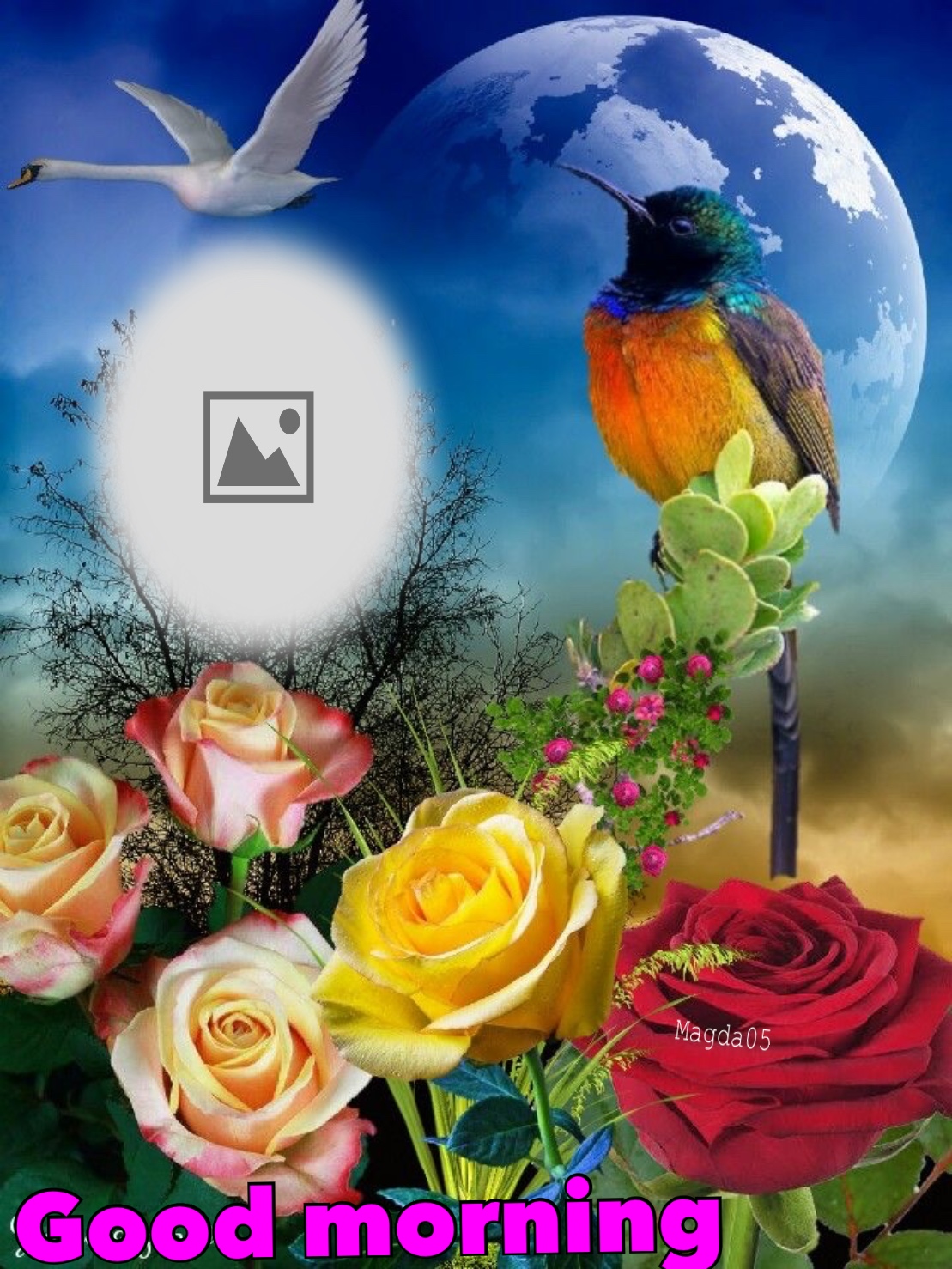 Magda05's BEAUTIFUL FRAMES 2021 Beautiful Goodmorning beautiful