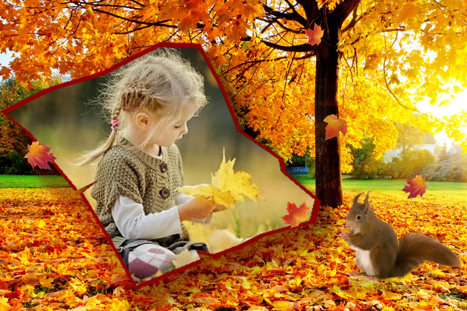 Elizabeth's AUTUMN/FALL 🍁 1/3 - Autumn Fall Wildlife - Autumn Fall ...