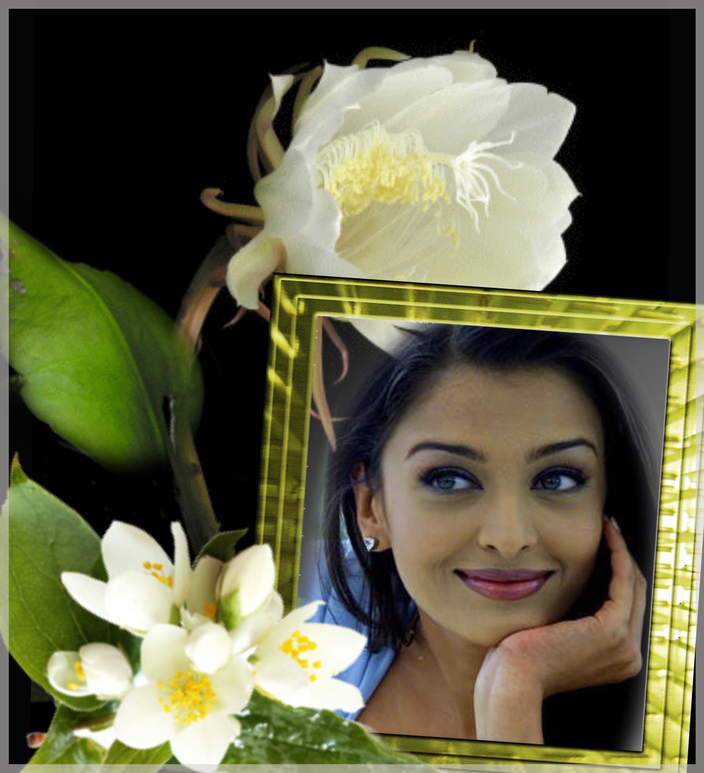 evmasy's Ireland Frames 2009 March +sending flower greetings+