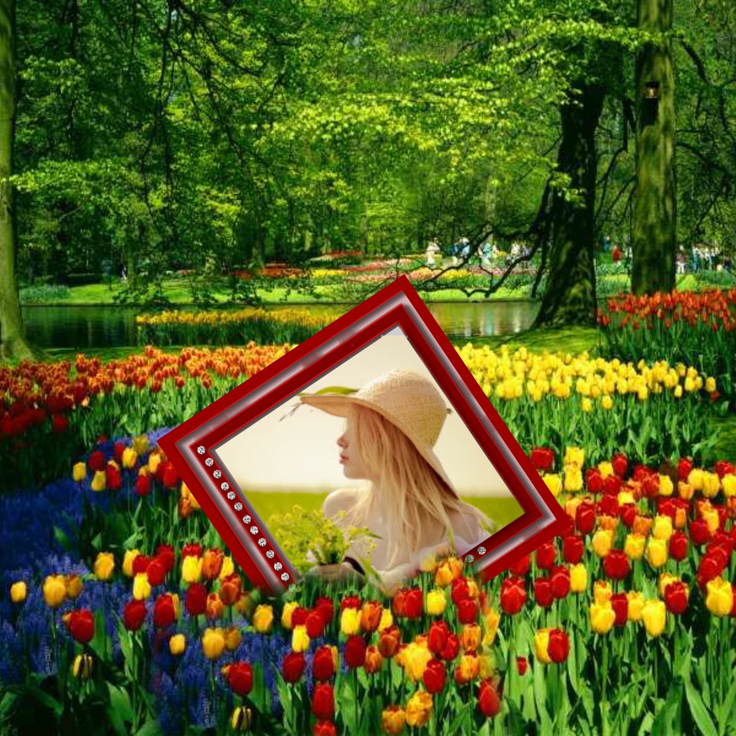 jbedwards007's Spring Frames 2010 April Framed Among Tulips Tulips