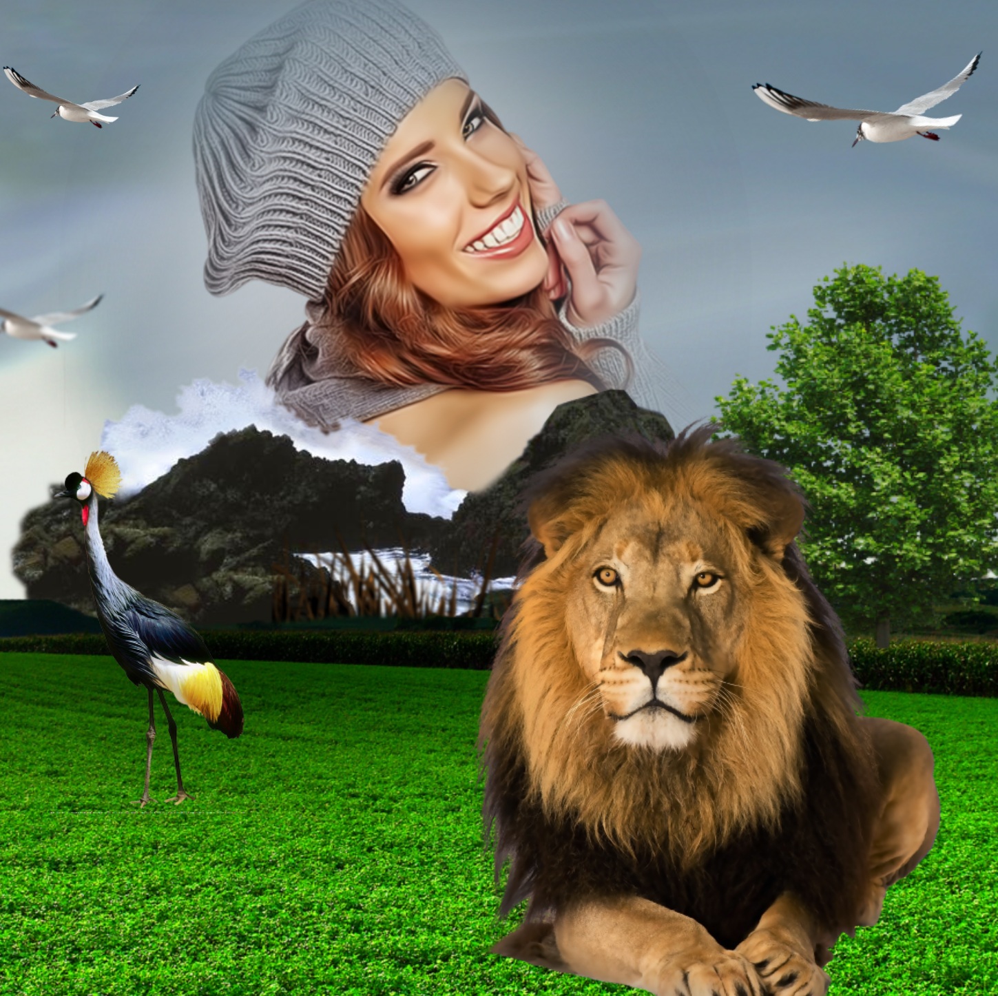 It'sMichelle's Wildlife Frames Nature Lion Horror02 wildlife Nature