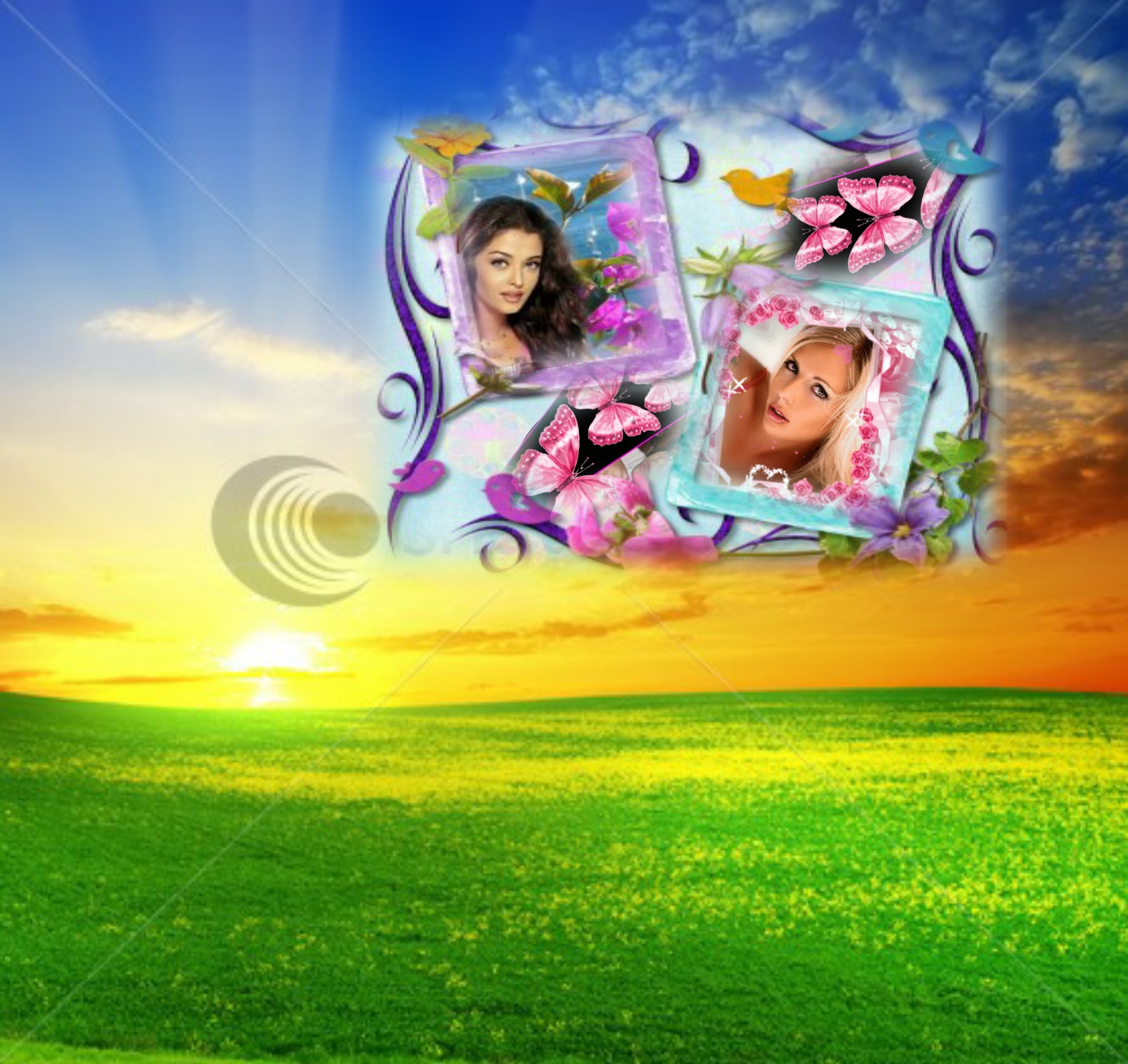 takeshi_15's Picture Frames 2010 October Nature frame Takeshi15