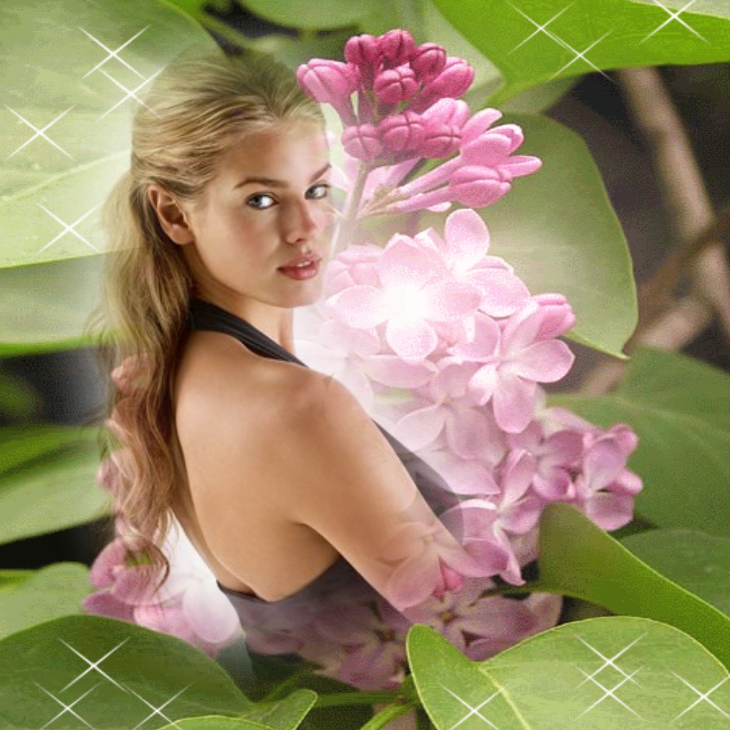 Adelaide's SPRING / PRIMAVERA 🌺 PRIMAVERA / SPRING 🌺 Adelaide