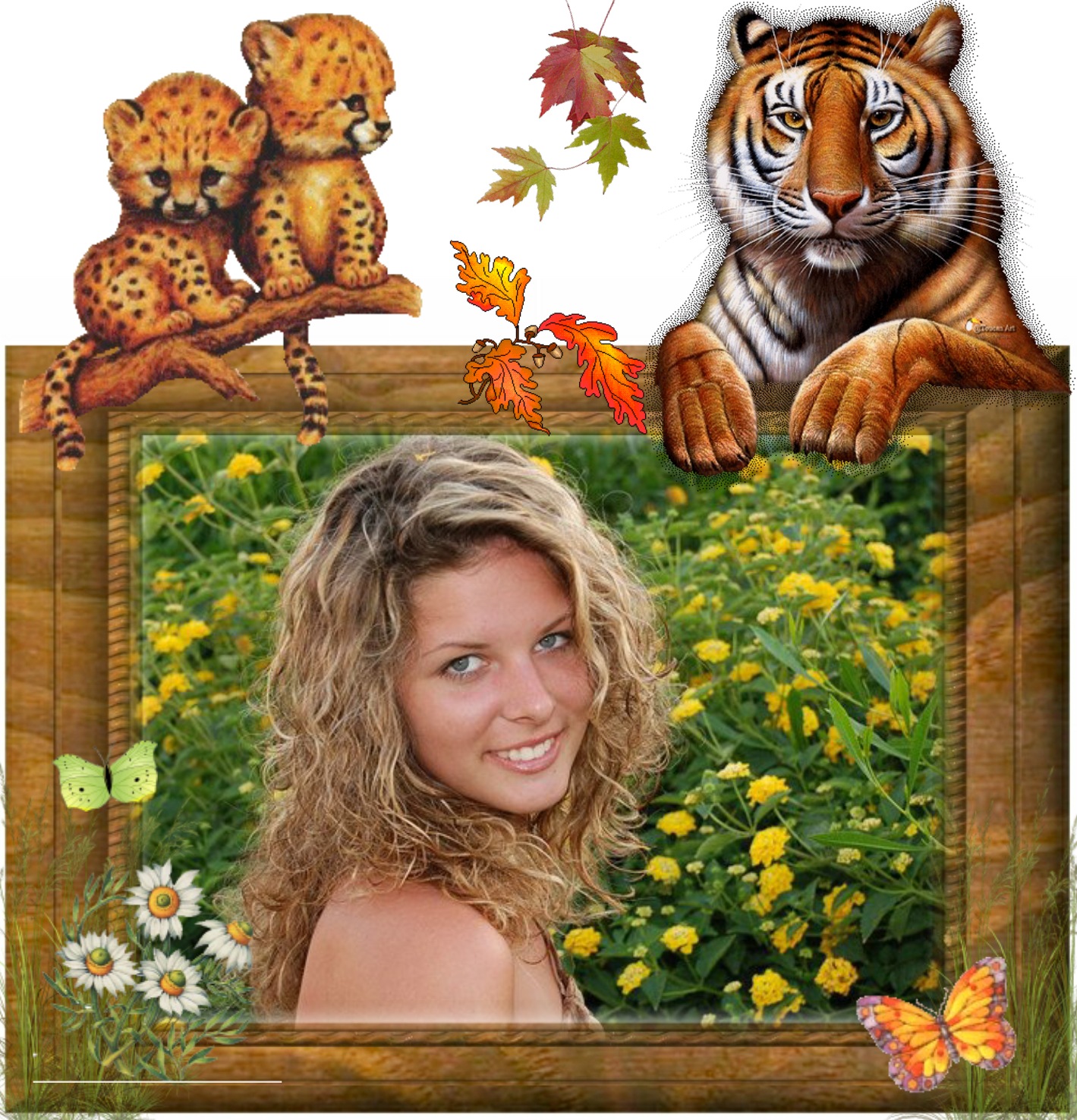 nadastefkova's Wildlife Frames 2009 April Wildlife's frame tiger