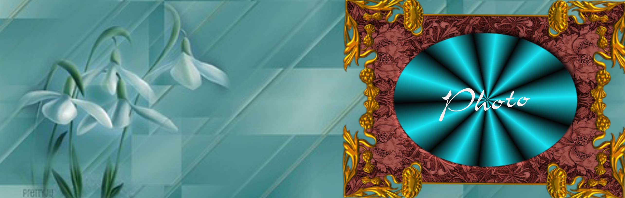 TAMMYBRANTLEY's Facebook Profile Cover Frames 2013 May Facebook