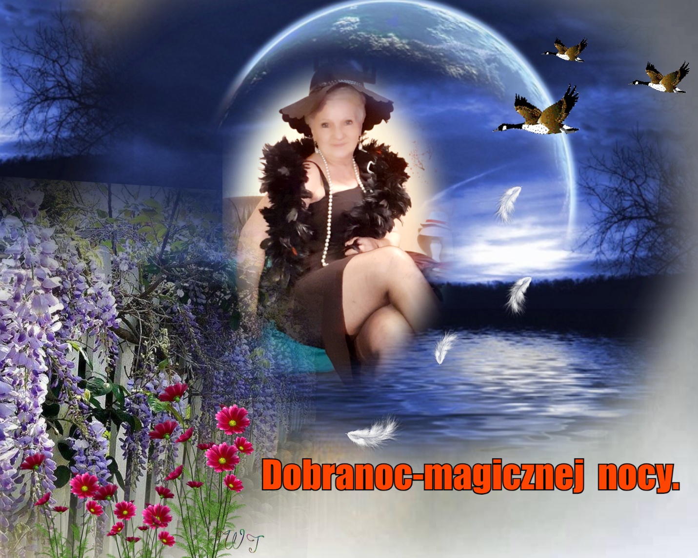 horvath aleksandra's First Stream - horvath aleksandra's First Stream