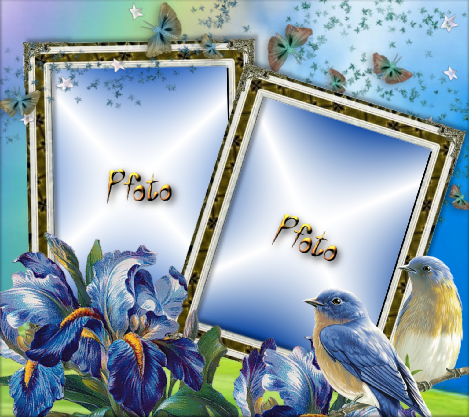 Marija K.'s Picture Frames 2012 May 2012 June Frames Frisco Paco