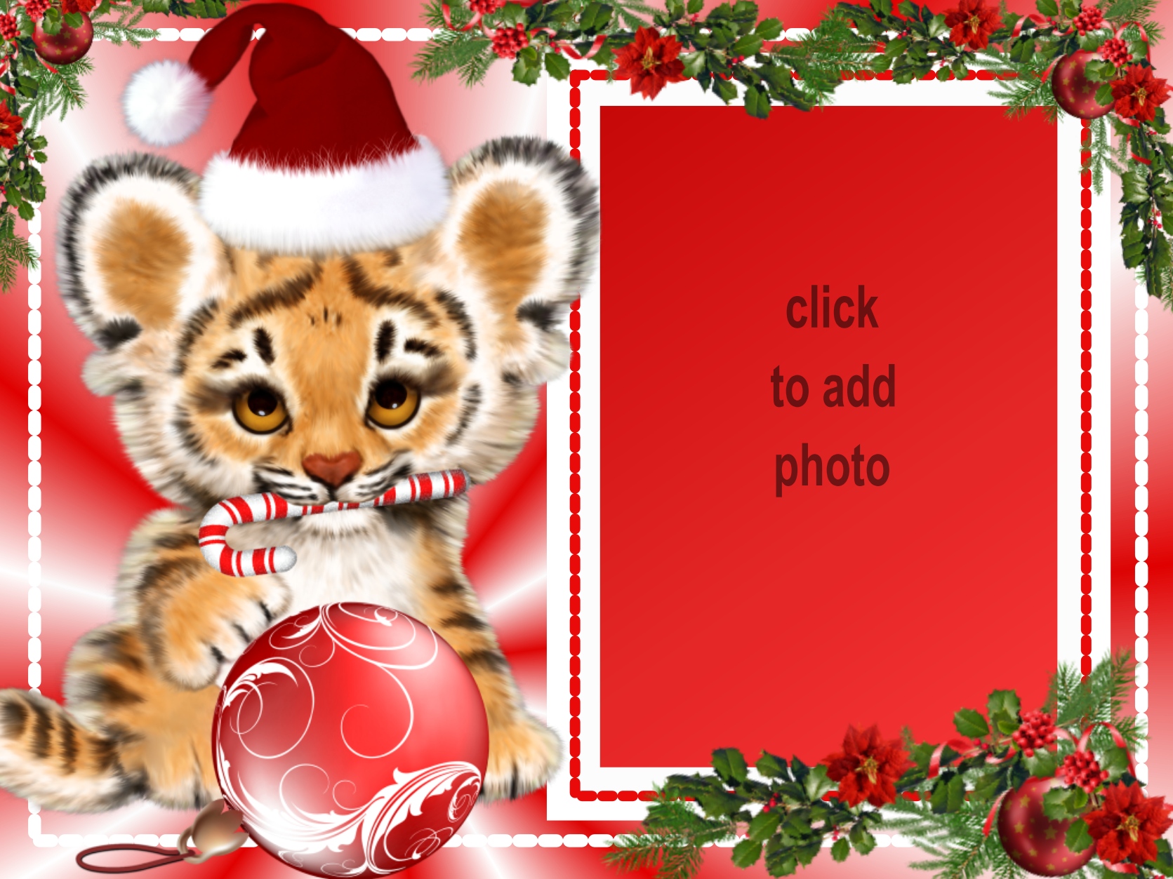 Sinnlich's Kids Frames 2020 Tiger Baby Sinnlich kids Christmas