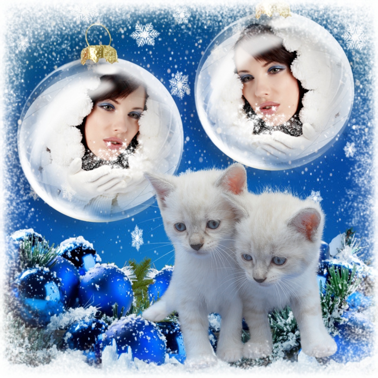 Sinnlich's Winter Frames 2020 Sinnlich's Winter Frames 2020