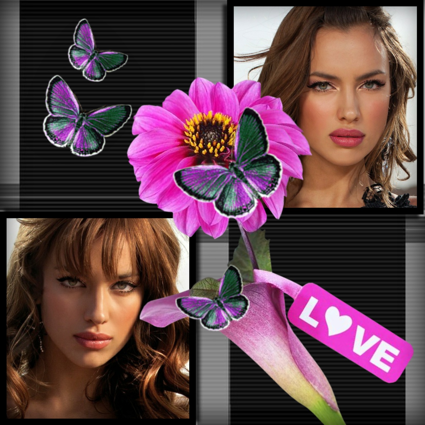 Adelaide's MULTIPLE PHOTOS MÚLTIPLAS FOTOS Adelaide Me!Frames