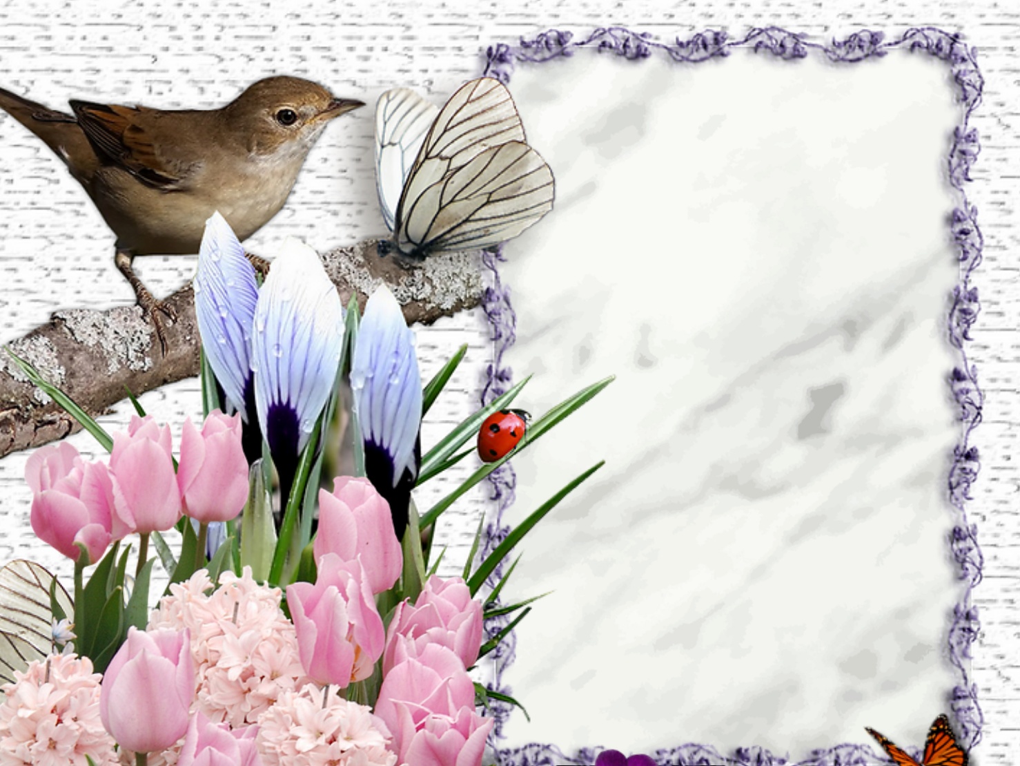 Emily50's Spring Frames Spring Spring Frames childlosslossframegood