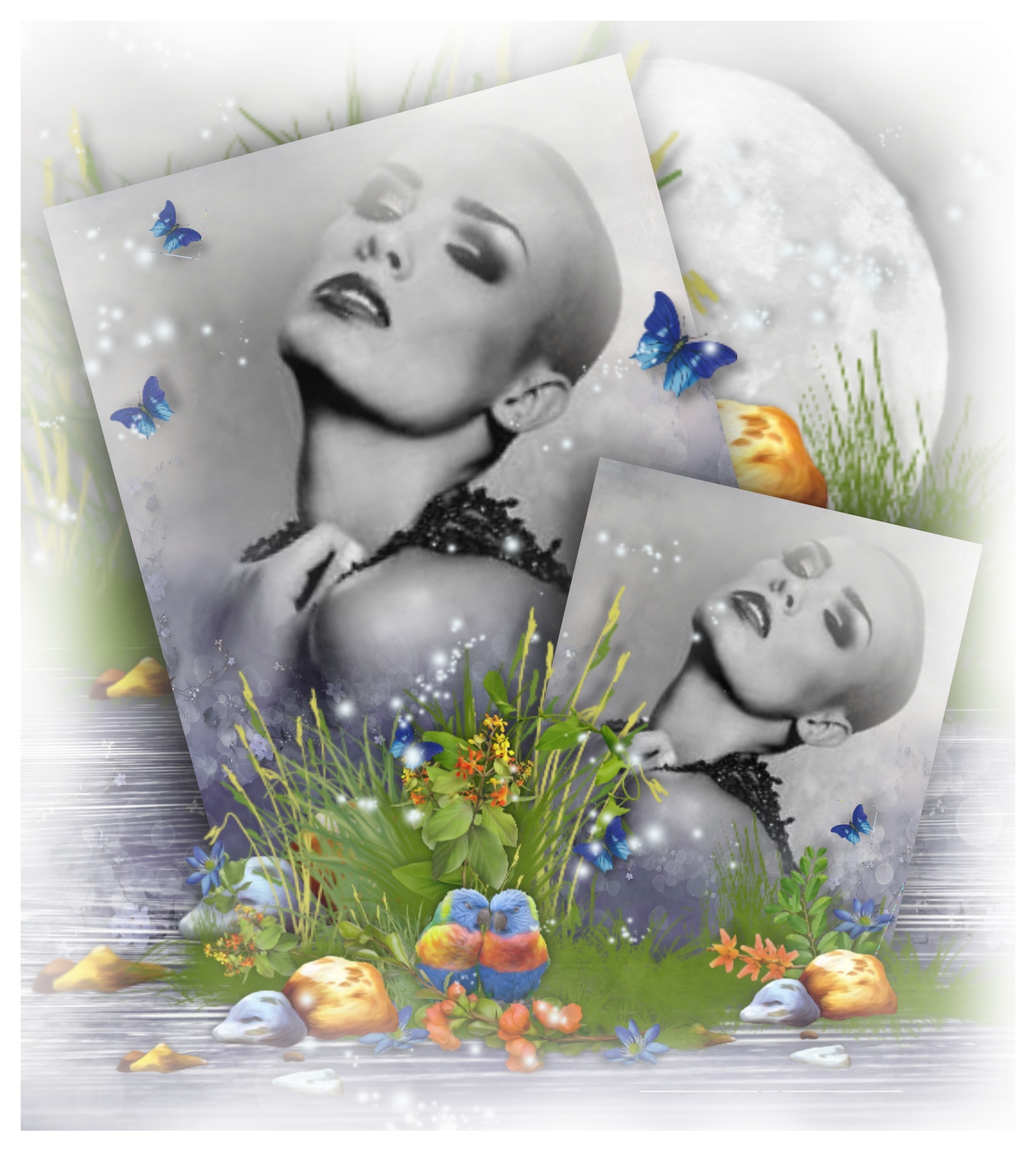 mmrcss's Spring Frames - 2014 - 2014 - Mmrcss-Spring night Gracias por ...