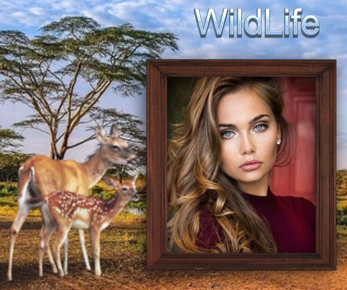 Nette's Wildlife,Animals, pets Frames Wild Life Animals Nette Wild