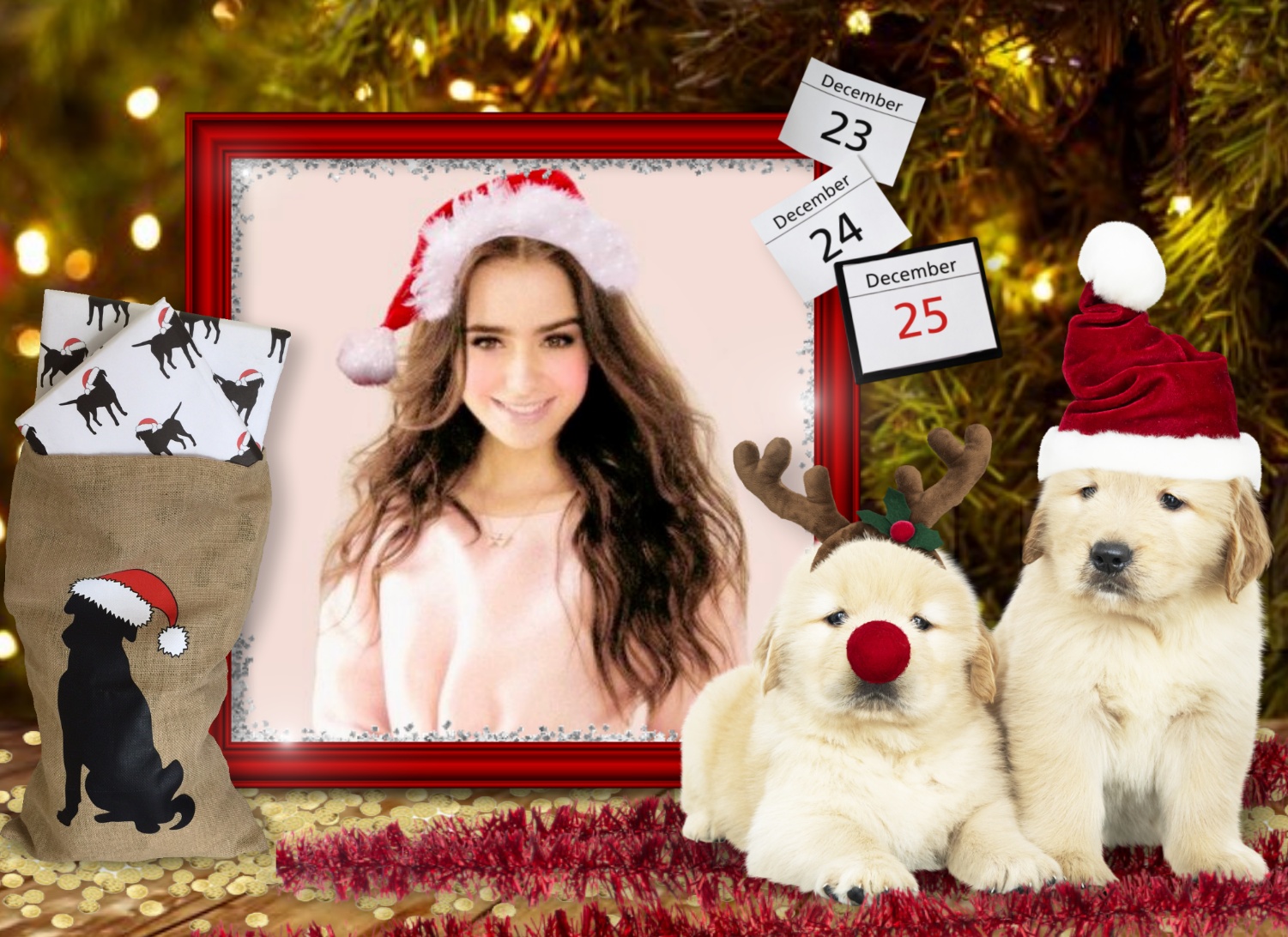 Elizabeth's CHRISTMAS π 2/4 (Fun/Disney/Kids) - Christmas Christmas Eve ...