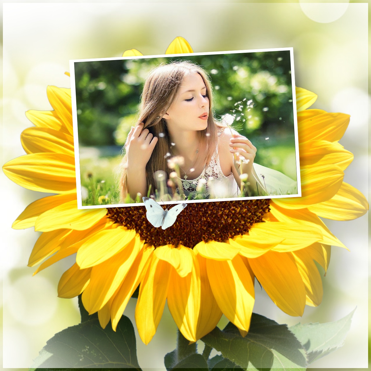 Elizabeth's NATURE & LANDSCAPE 🌈 🌦 Nature Sunflower Fun Frame