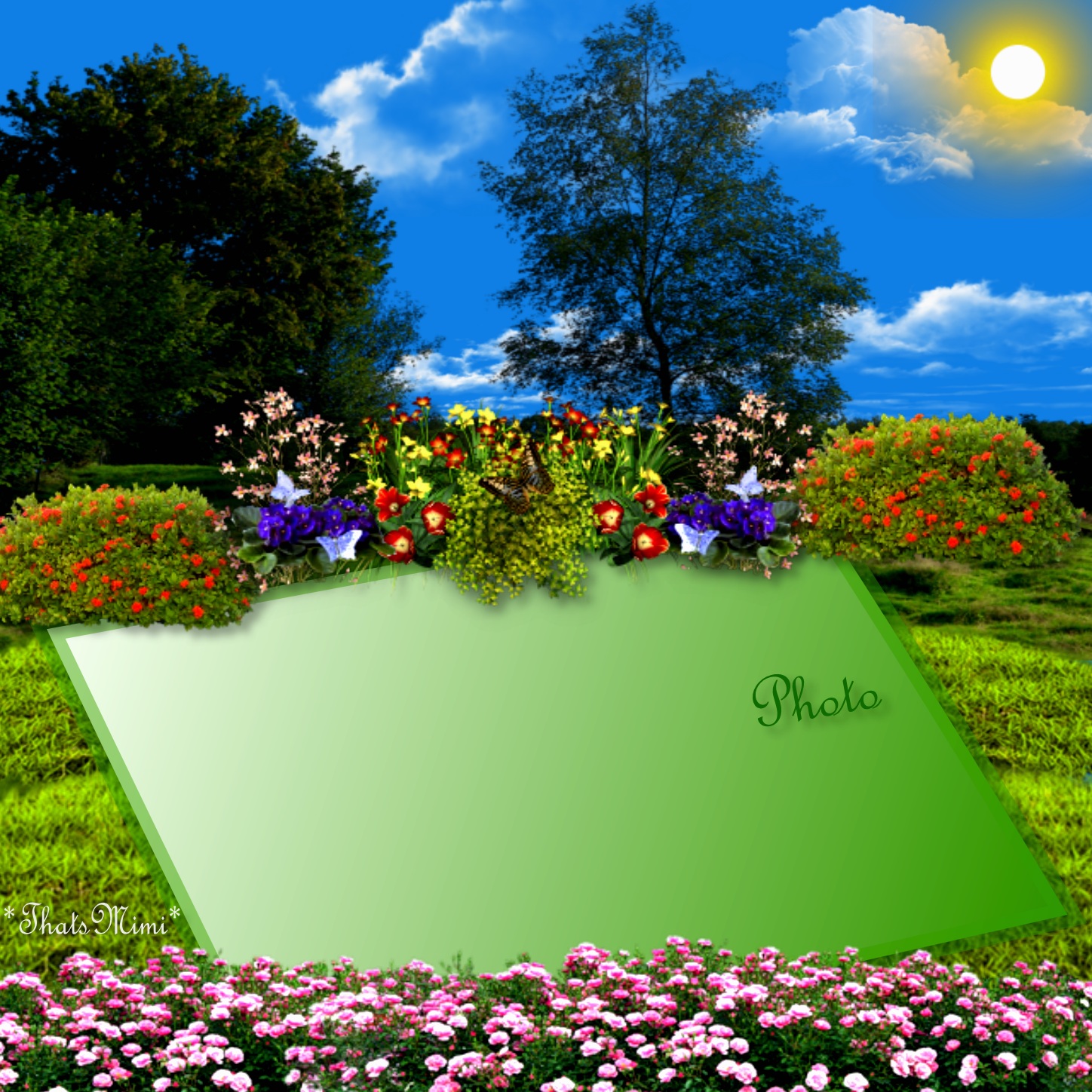 ThatsMimi's Spring Frames - 2013 February - ~*~ Grass! - ~*~ Grass ...
