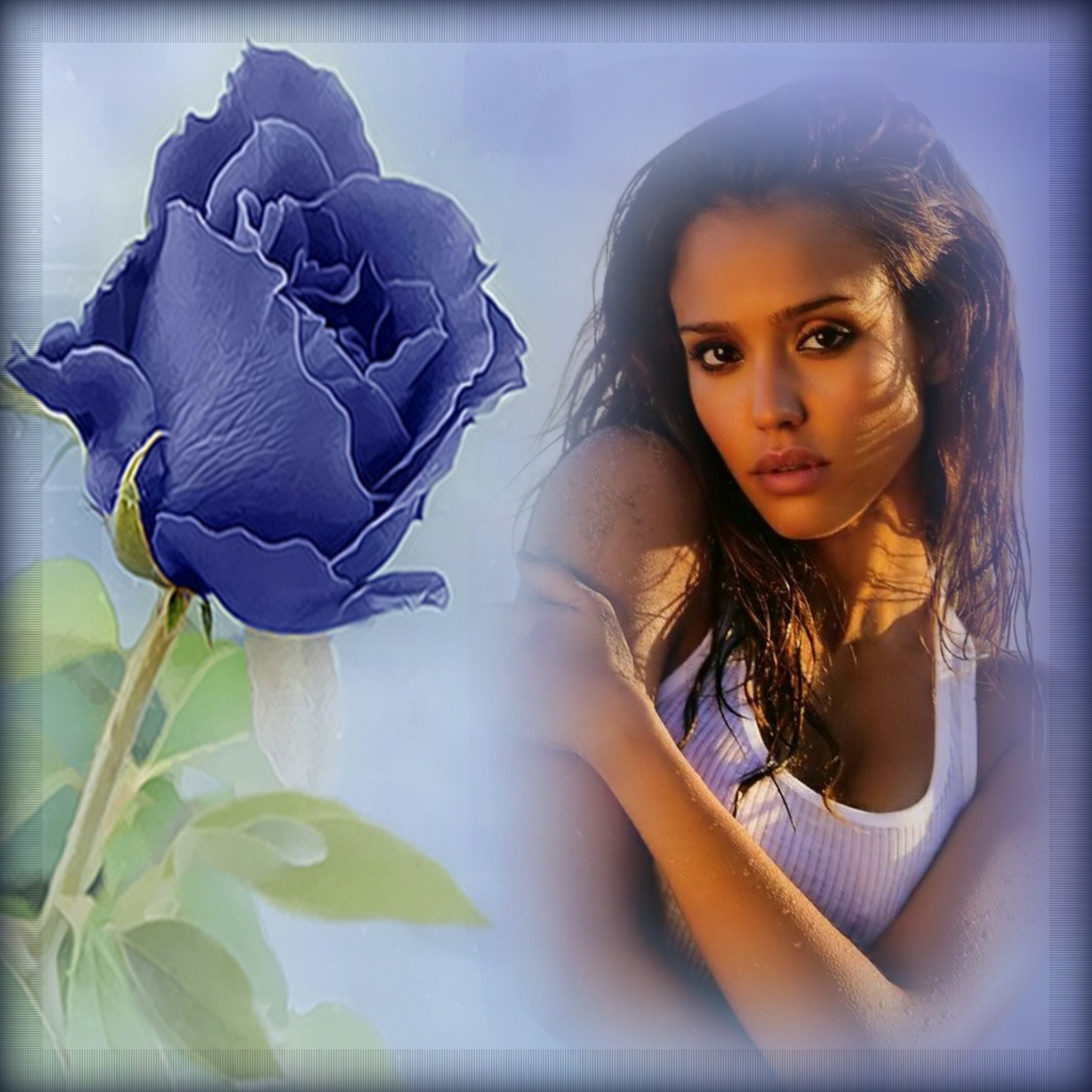 Elizabeth's THINKING OF/MISSING YOU 😘 3/4 Blue Rose Missingyou