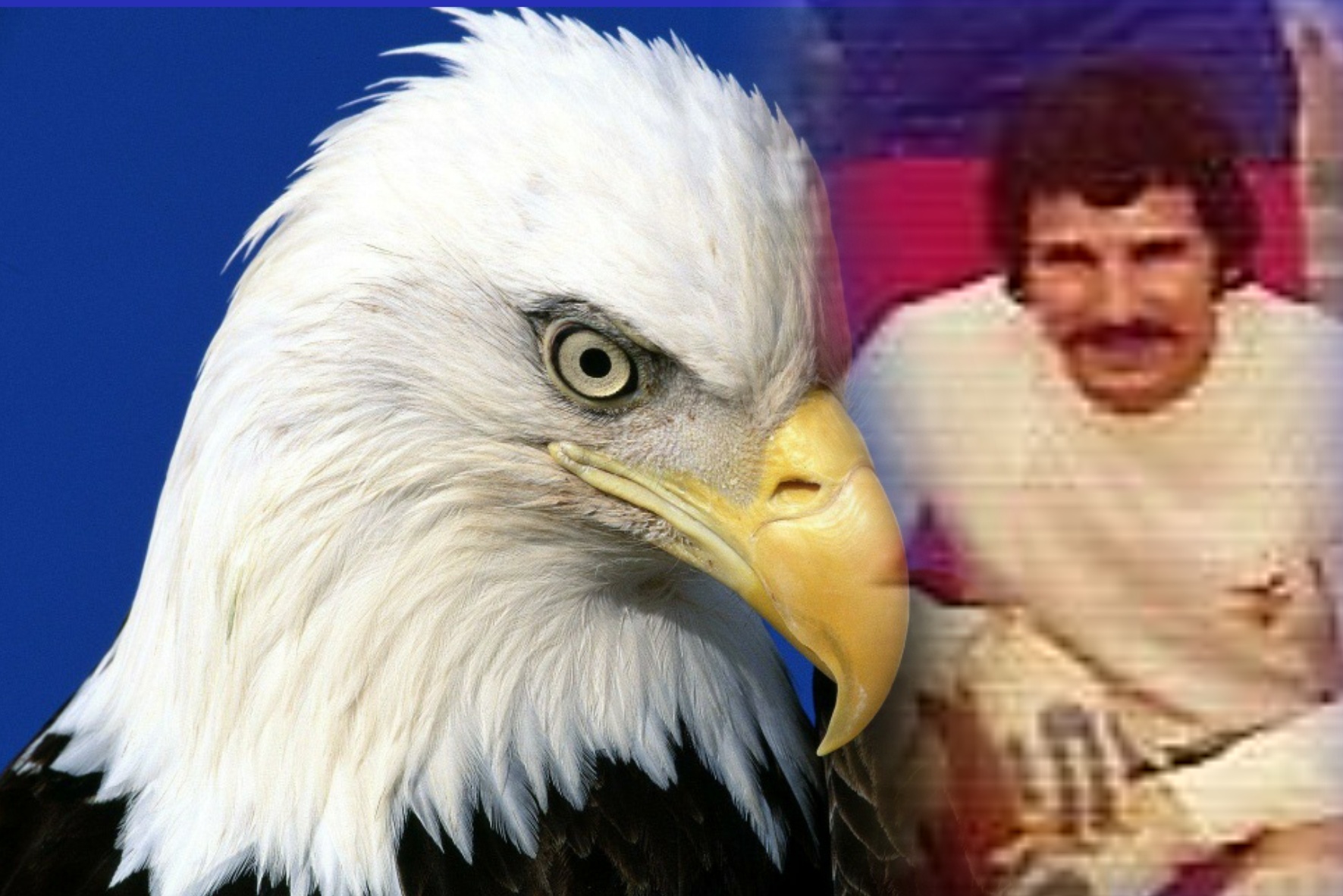 João Marques's First Stream João Marques's First Stream