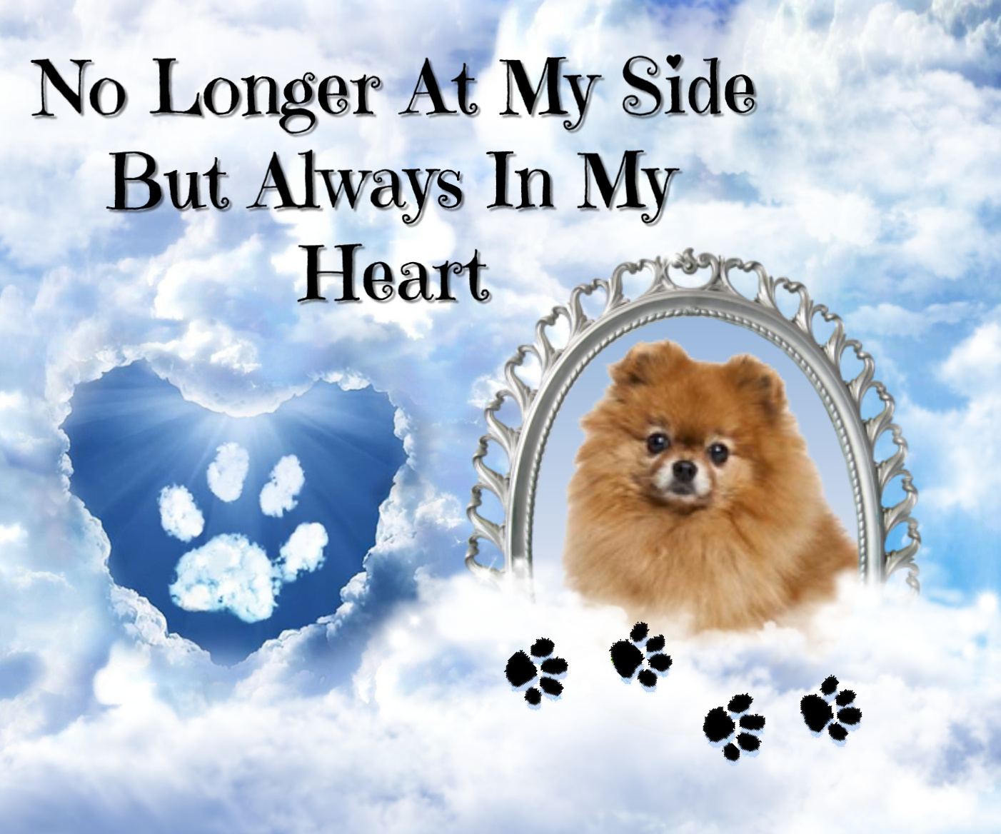 pussycatlady22's In Memory Of... Frames 2018 February In Loving