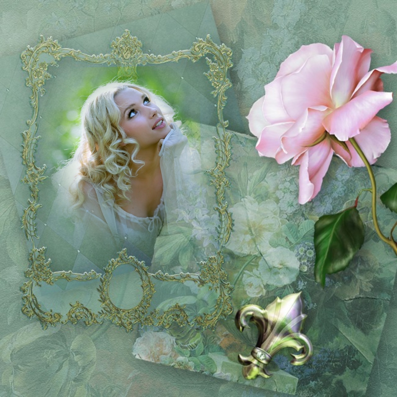 Emily50's First Day of Summer Frames - Summer Good Morning Rose ...