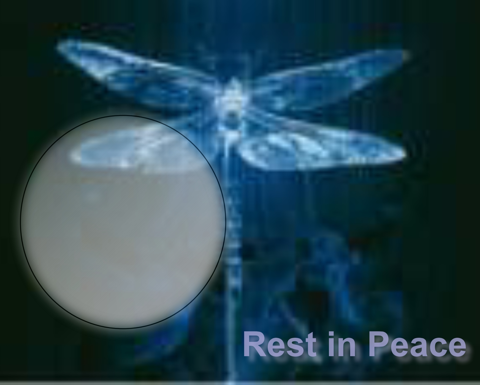 smilam's In Memory Of... Frames - Rest in Peace 2007 Dragonfly Rest In ...