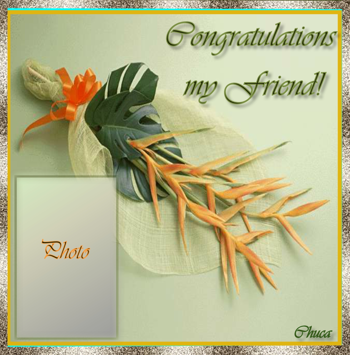 Imikimi Zo Congratulation Frames Congratulations My Friends Imikimi Zo Congratulation Frames Congratulations My Friends Chucarj
