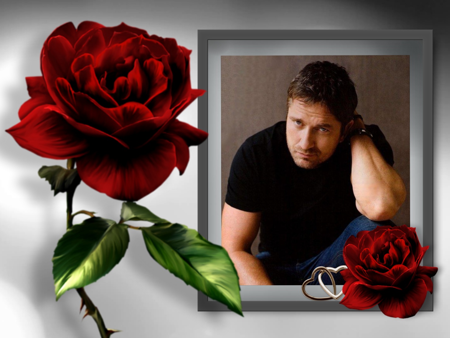 Elizabeth's LOVE/ROMANCE 😍 2/2 Love Red Rose Elizabeth Love Red