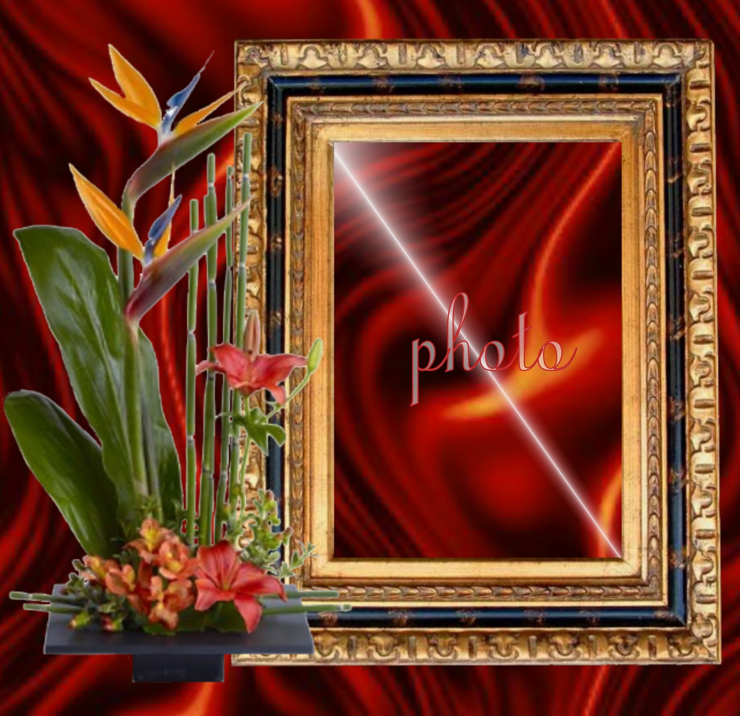 marycarmenkim's Picture Frames - 2009 May - frame w/ bird of paradise ...