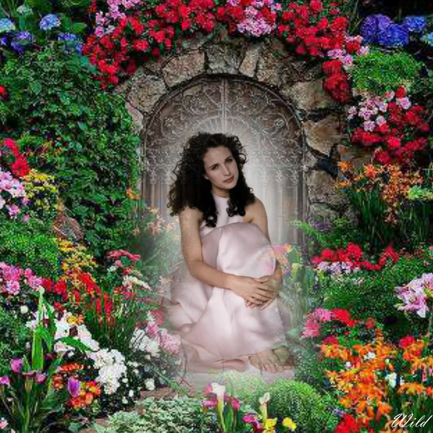 wildthing_9111's Spring Frames 2012 2017 2012 2017 Spring Flowers Beautiful Spring