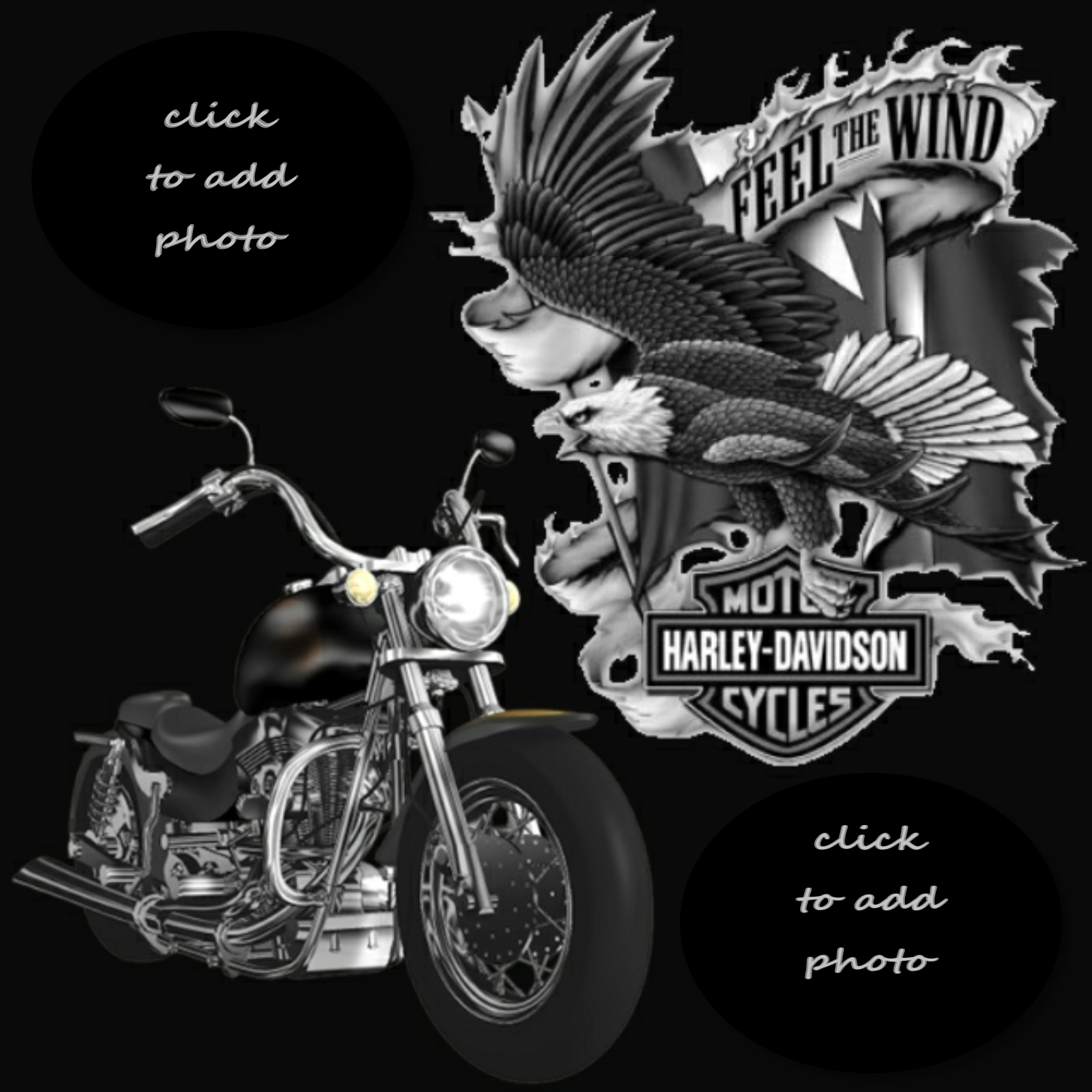 pussycatlady22's Kimi Frames 2017 Harley Davidson Pussycatlady22