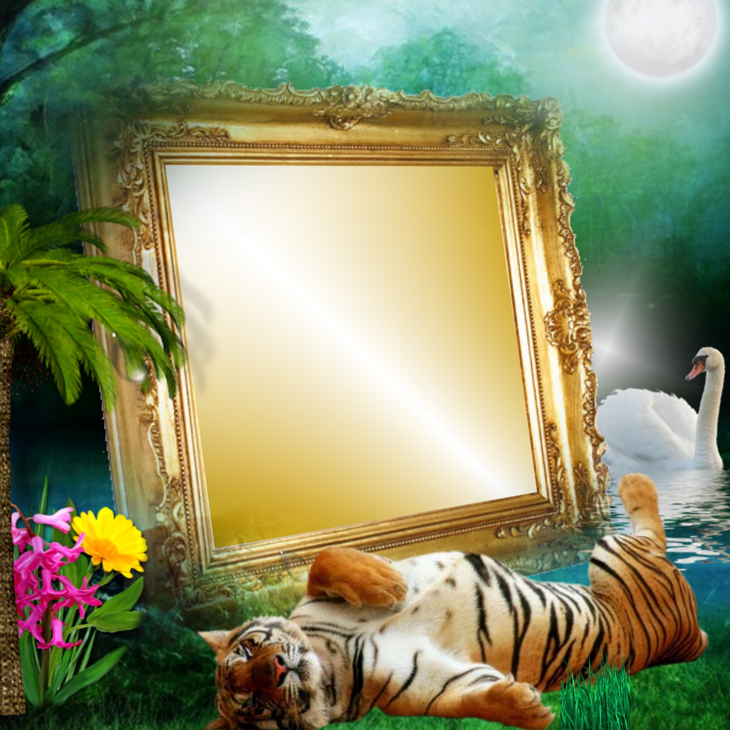 It'sMichelle's Wildlife Frames 2015 October 2016 May Nature with