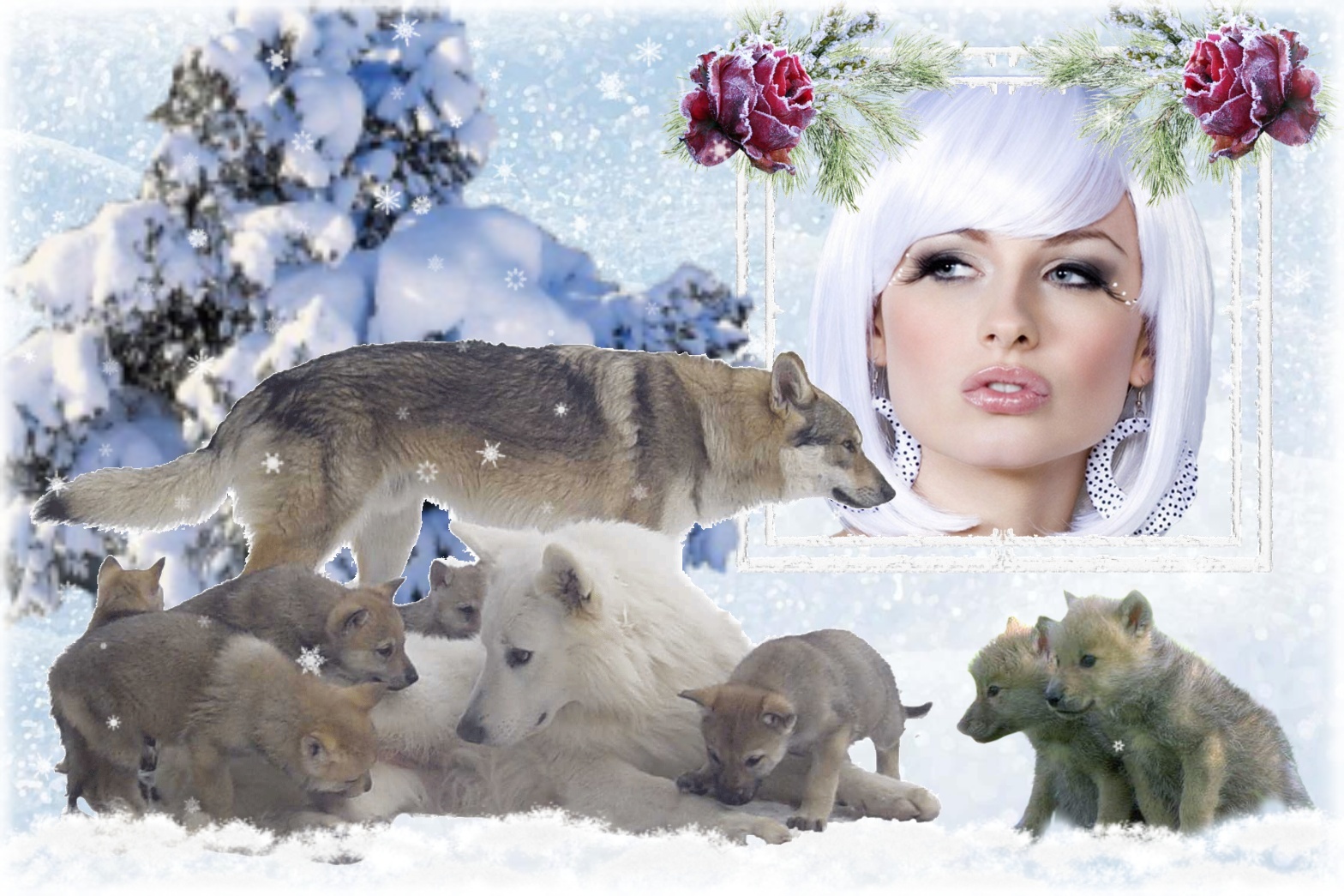 Sinnlich's Winter Frames 2020 Sinnlich's Winter Frames 2020