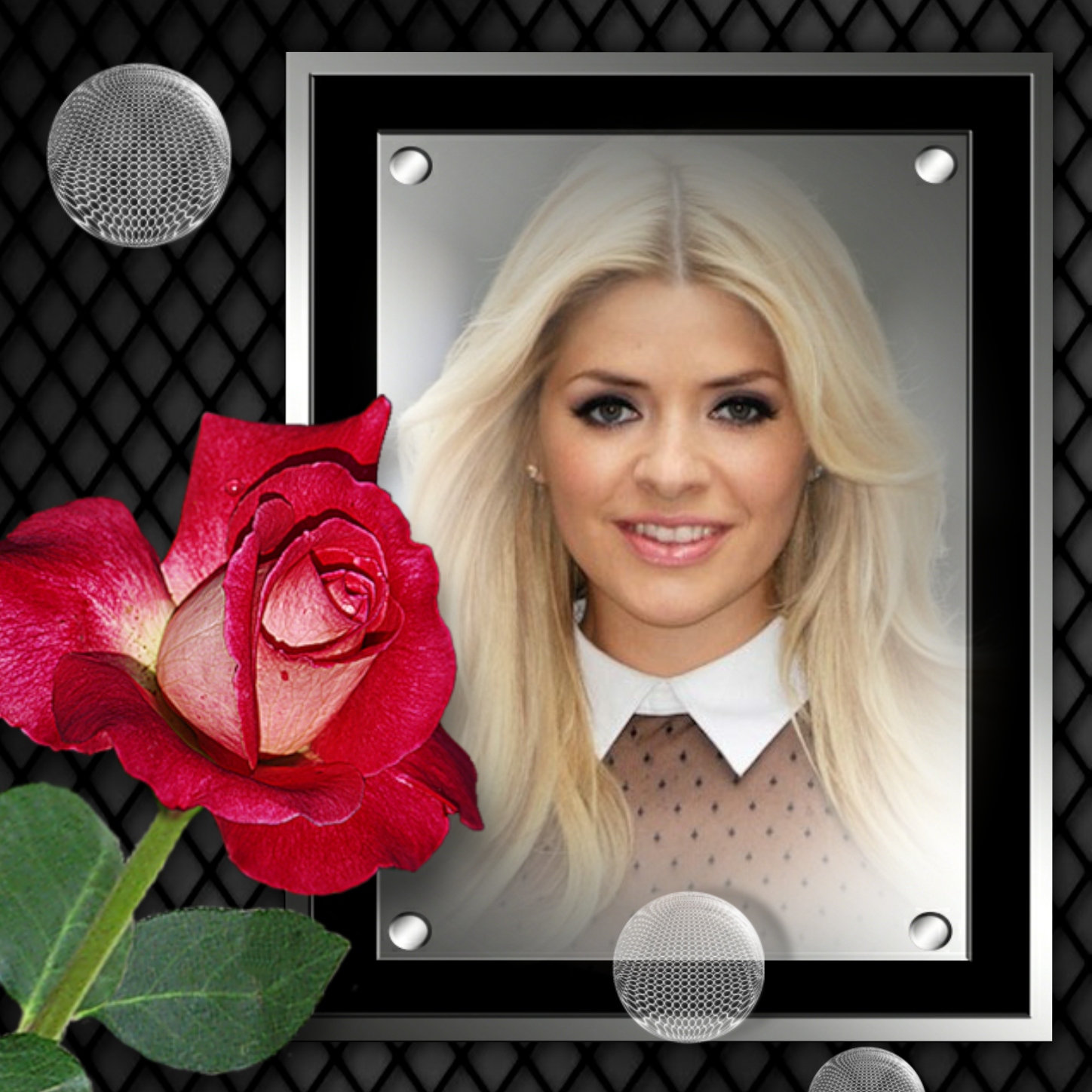 Elizabeth's LOVE/ROMANCE 😍 1/2 Red Rose Elizabeth Red Rose Elizabeth