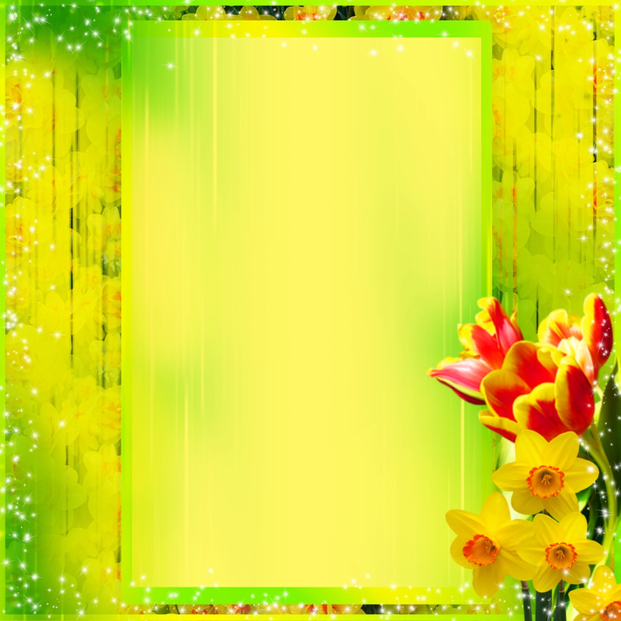 Sinnlich's Spring Frames Spring Flowers Spring Flowers Tulip