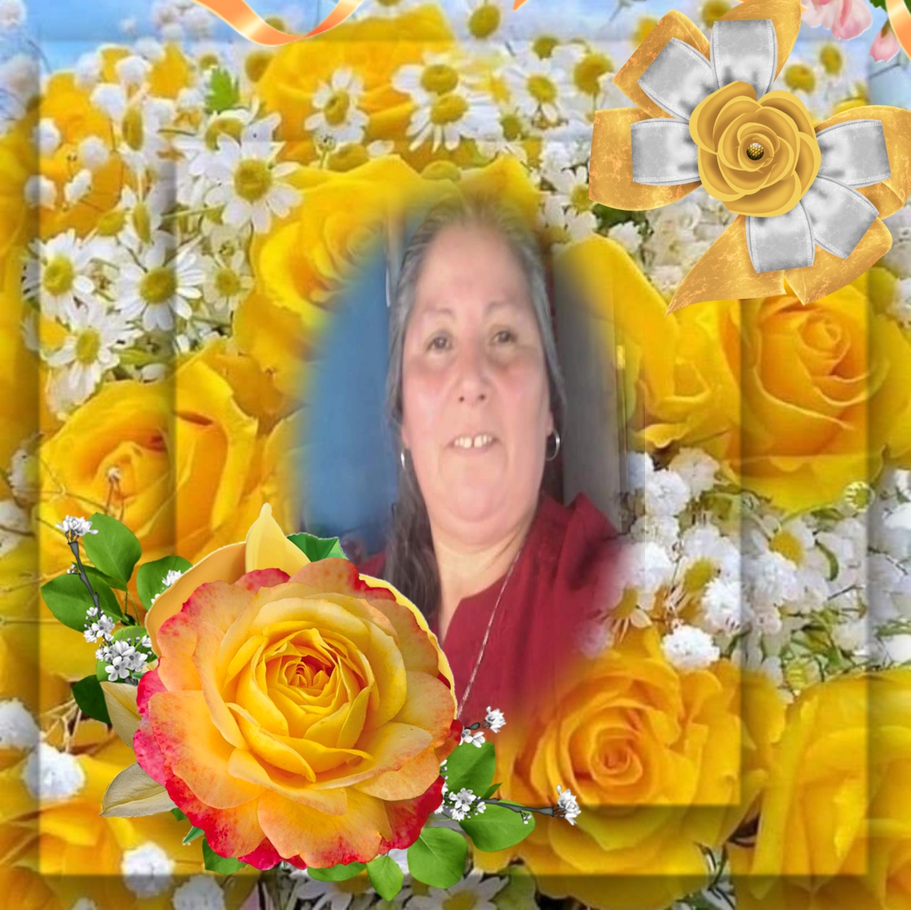 Julita02's VARIOUS VARIAS Varios yellow roses Julita02 yellow roses Julita02