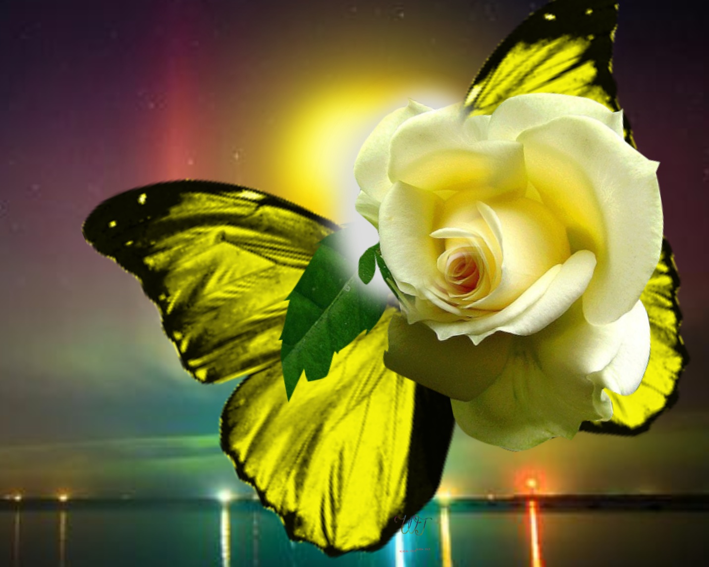 wiesiatomaszewska-s-autumn-rosesbeautifulnatureromantica