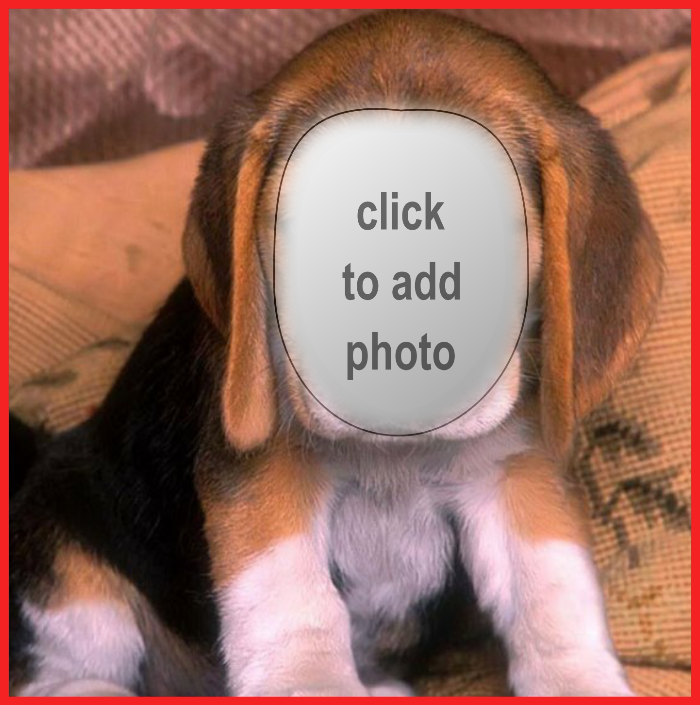 fuzzypawz’s Face Cut-Out Frames - 2008 March - 2009 - Beagle Puppy Dog