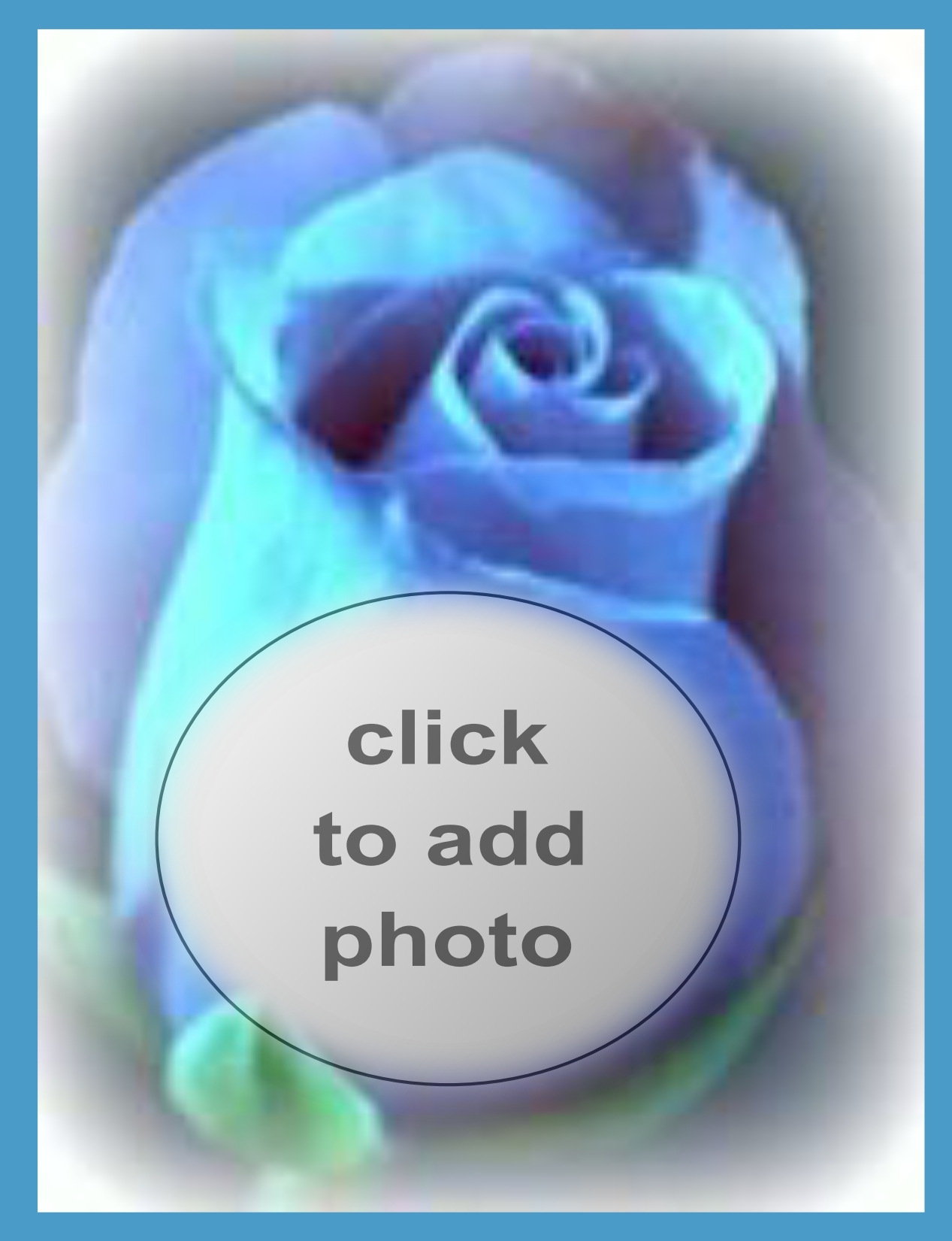 gata037's Picture Frames - 2008 June - Blue Rose Gata037 picture Frames ...