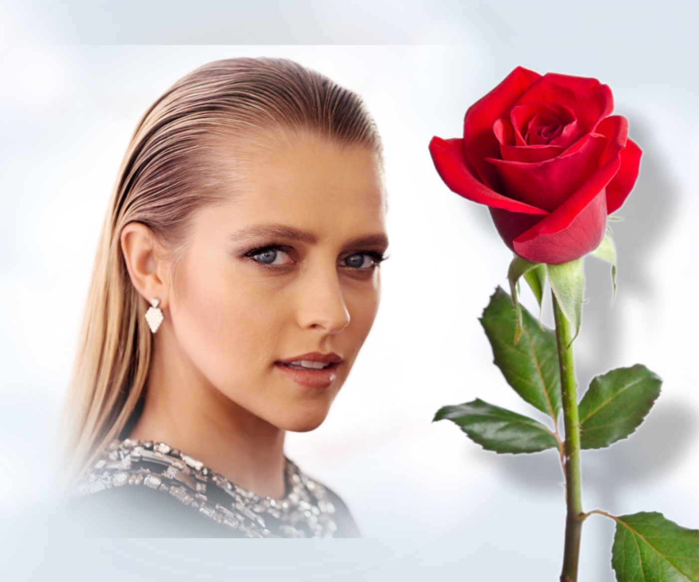 Elizabeth's LOVE/ROMANCE 😍 2/2 Love Red Rose Elizabeth Love Red