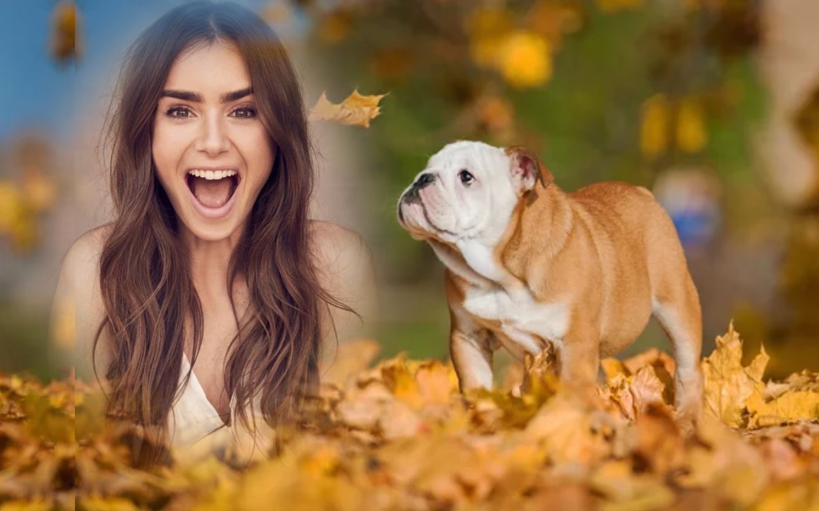 Nette's Wildlife,Animals, Pets, WoodlandAnimals Wildlife