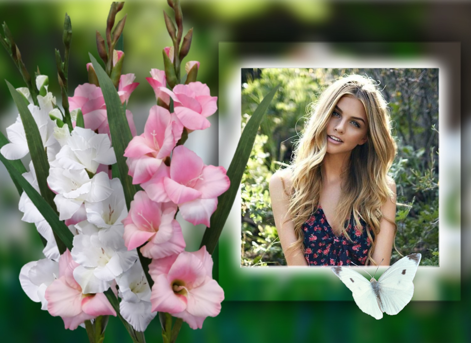 Elizabeth's SUMMER 😎 Gladioli Gladiolus Nature