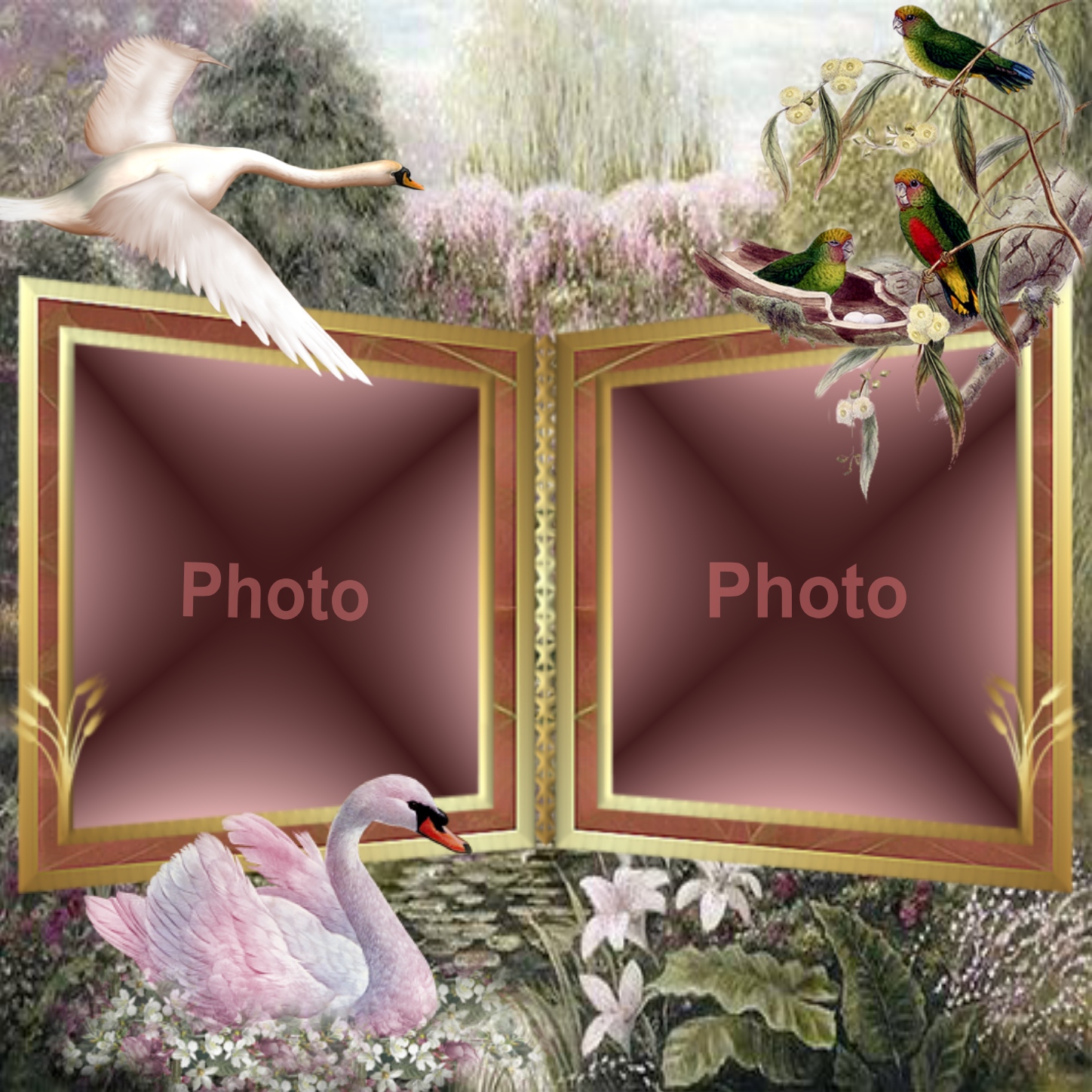 TAMMYBRANTLEY's Picture Frames 2013 April Wildlife Tammybrantley picture Frames Wildlife