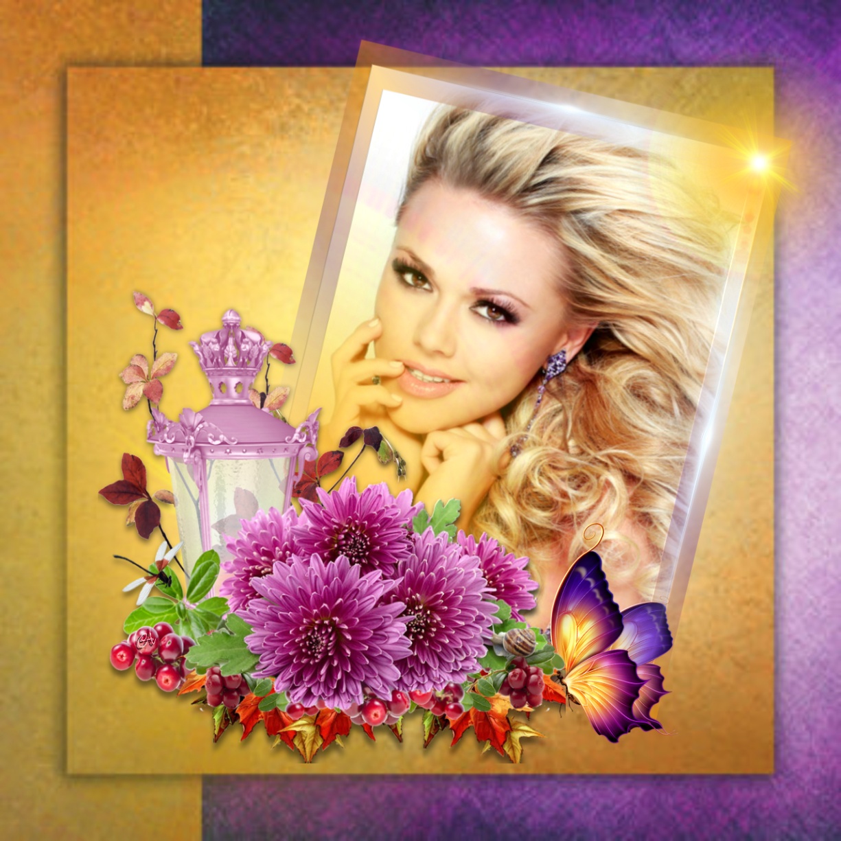 Adelaide's DIVERSE STYLE FRAMES MOLDURAS DIVERSAS Adelaide Picture