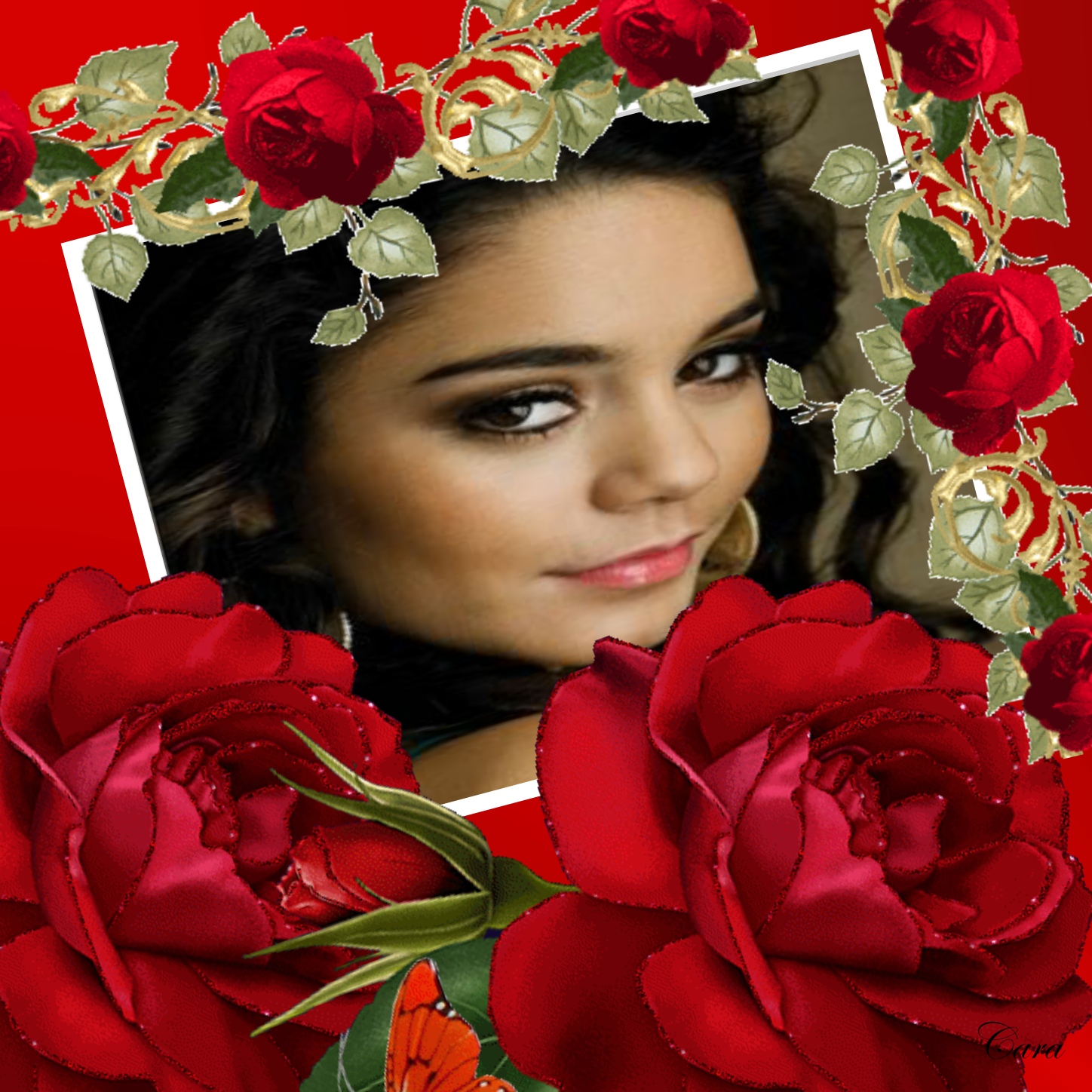 cararay's Picture Frames - 2009 December - Roses Frame Cararay picture ...