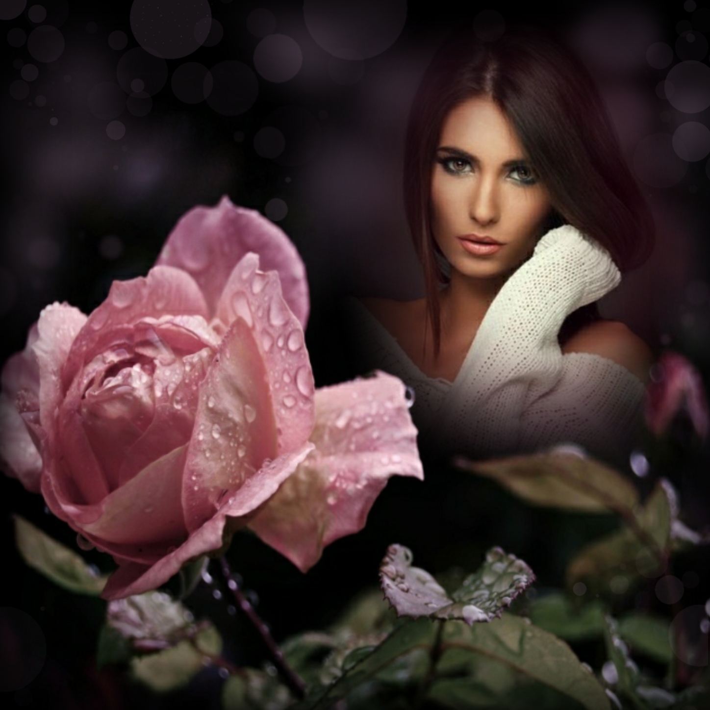 Elizabeth's THINKING OF/MISSING YOU 😘 3/4 - Pink Rose Missingyou ...
