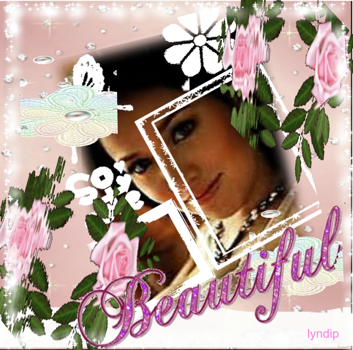 lyndip's Picture Frames 2008 November Falling rose petals on you