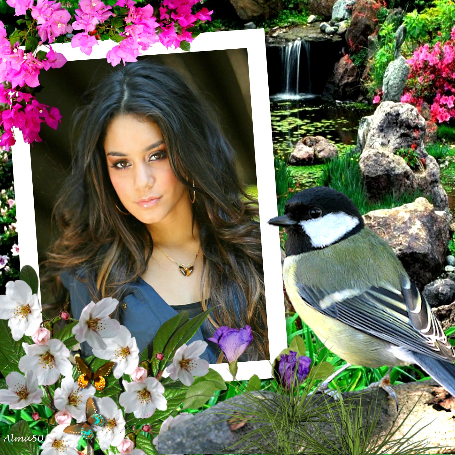 alma50's Wildlife Frames 2010 2011 Nature and Bird Alma50 wildlife Nature and Bird