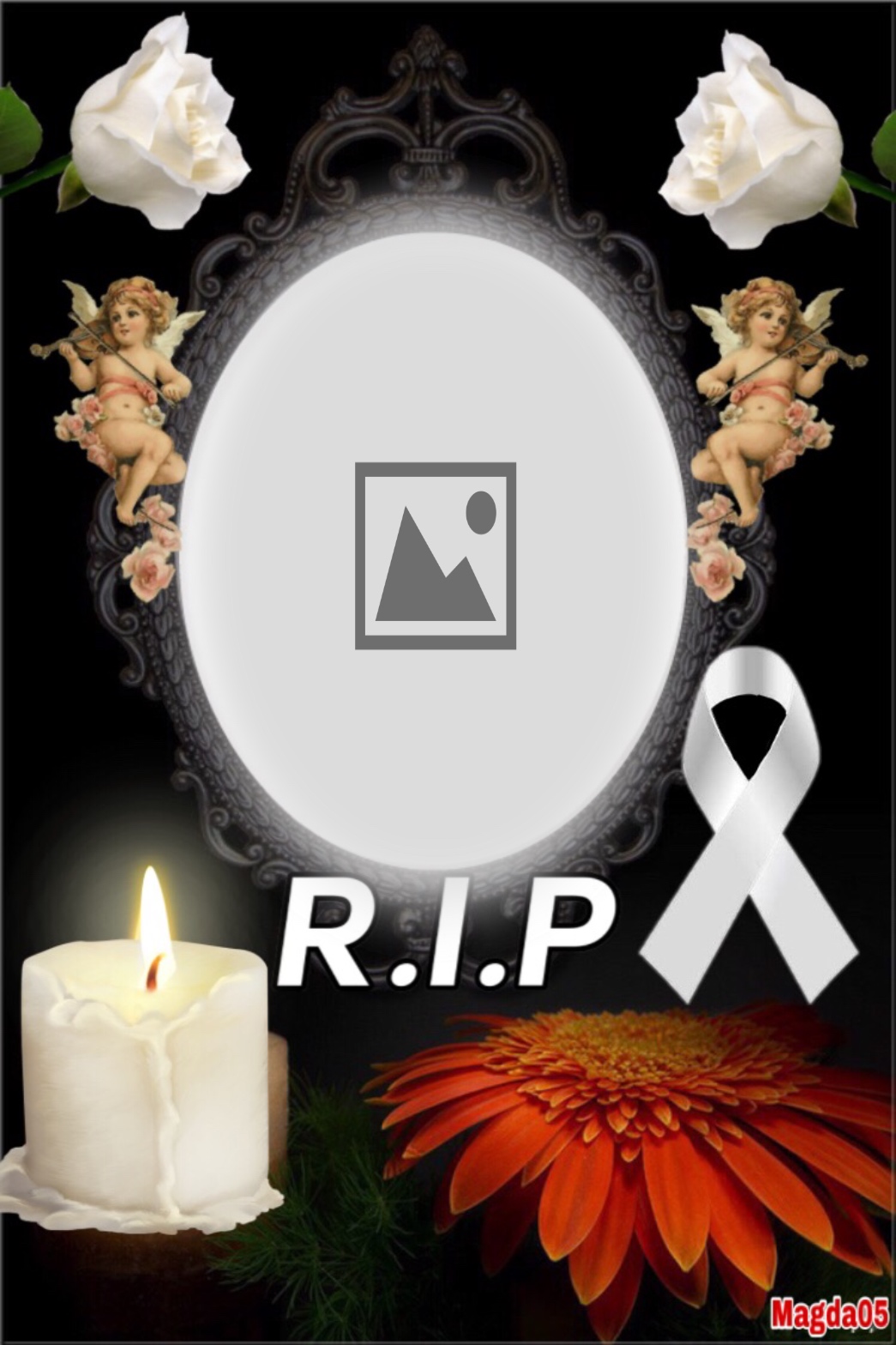 Magda05's Photos 2 - VARIETY 2 - RIP Inmemory magda05 Flowers - RIP ...